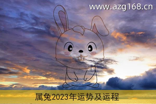 六三年属兔2023年运势 六三年兔今年运势