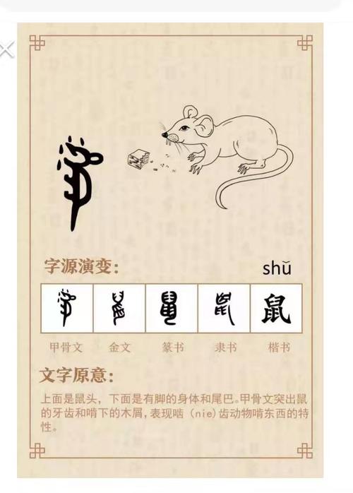 汉字文化之十二生肖――鼠