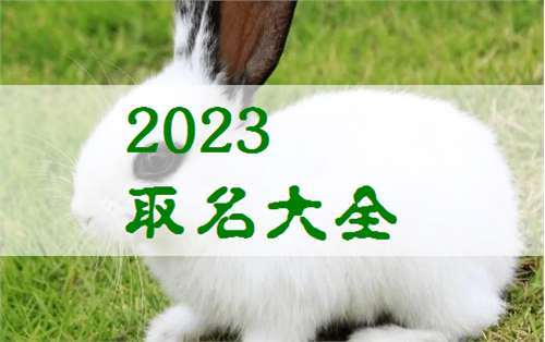 宝宝起名2023年属兔 2023年属兔宝宝名字