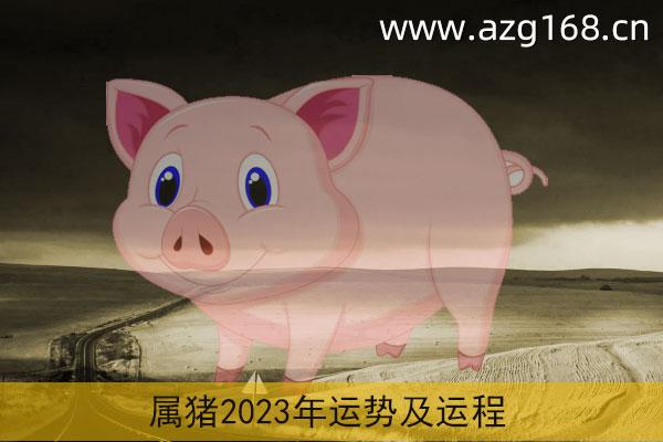 83属猪2023年运势 1981年属鸡人2023年运势