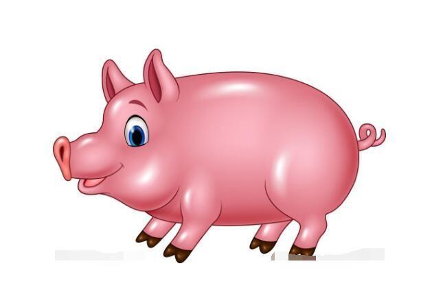 生肖猪运势年运程年37岁属猪运势年属猪的财