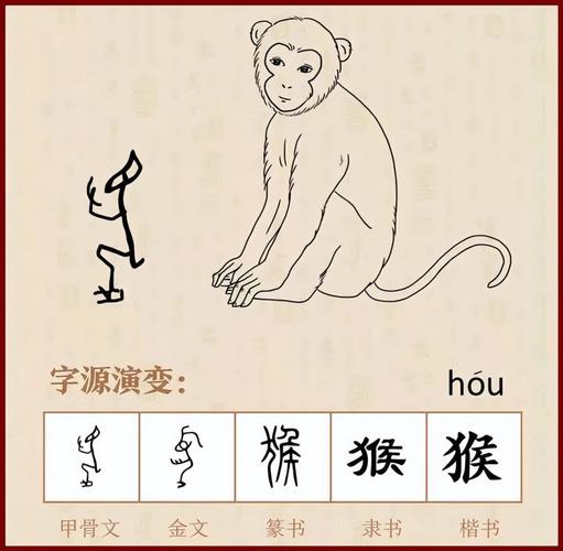 十二生肖之猴字的来源与演变猴子的历史